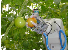 トマト収穫ロボットのハンド部