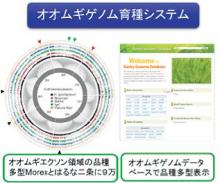 Development of genomics based breeding system in barley and wheat