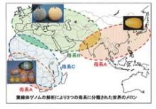 Genetic assay and study of crop germplasm distributed in Asia