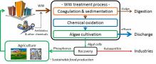 Development of cultivation method of micro algae for recoverying phosphorus and astaxanthin from wastewater