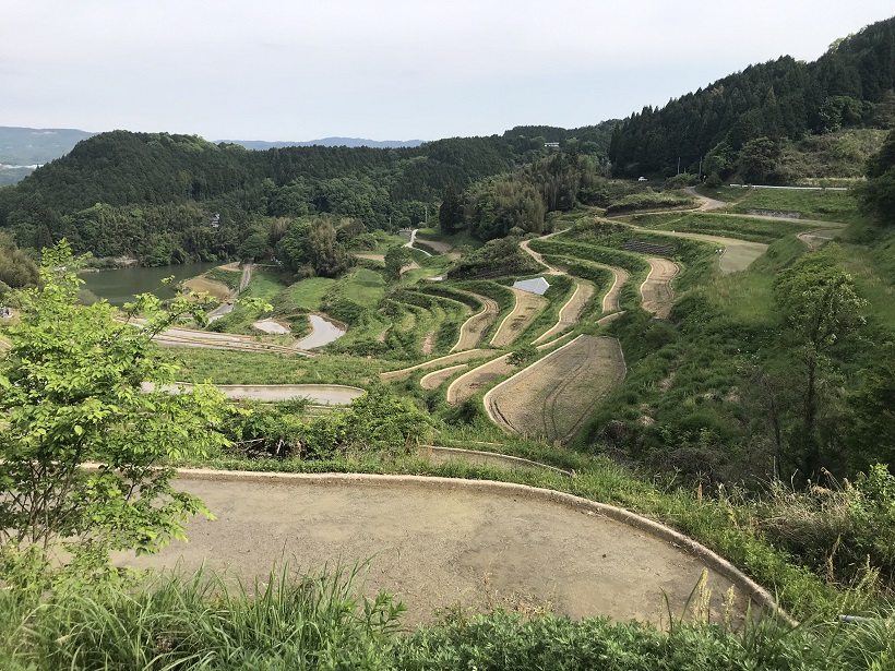 管理された岡山県久米南町の棚田