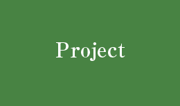 Project