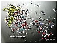 生物機能化学講座イメージ1