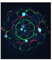 植物ストレス科学講座イメージ2