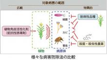 Development of durable crop protection technology against broad range of pathogens